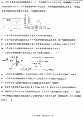 2020屆河北省衡水中學高三生物上學期期中試卷(圖片版)(5)