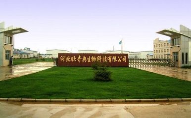 供應(yīng)南瓜籽油 1級(jí) 欣奇典生產(chǎn) - 中國制造交易網(wǎng)