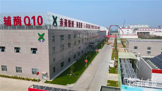 河北寧晉生物大健康產業園助力高質量發展